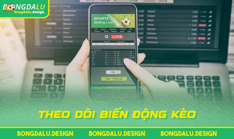 theo doi bien dong keo Theo dõi biến động kèo